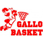 cropped-logo-gallo2